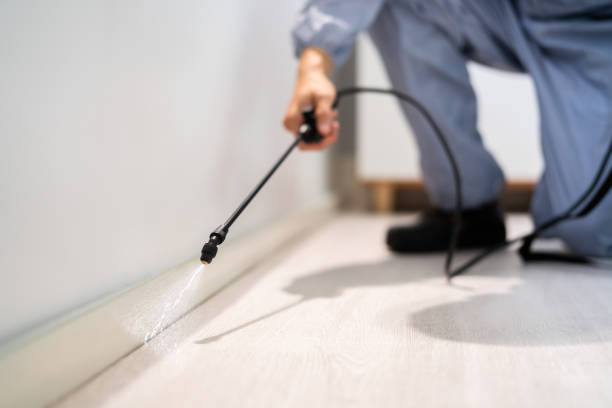 Licensed Termite Control service in Ampere North, NJ - Nex Pest Control