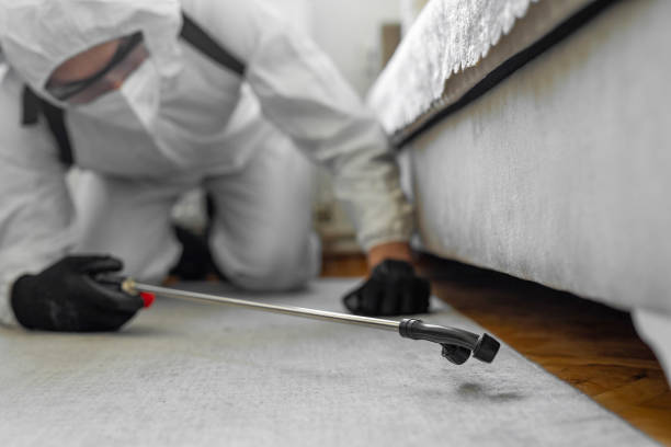 Professional Termite Control technician working in Ampere North, NJ