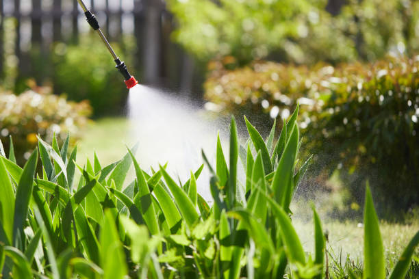 24/7 Emergency Termite Control experts in Ampere North, NJ