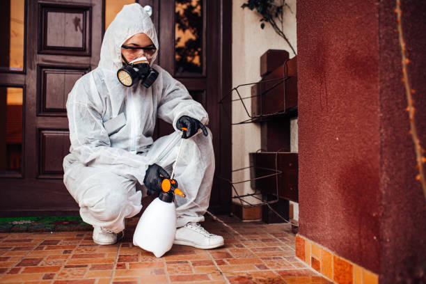 Reliable Termite Control contractor in Ampere North, NJ by Nex Pest Control